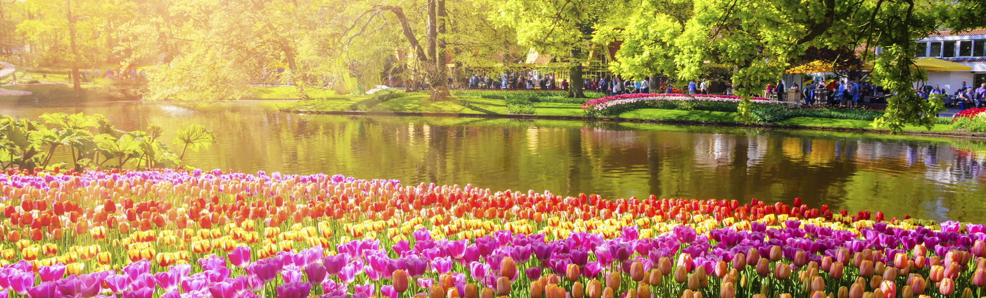 Keukenhof - © Getty Images/iStockphoto
