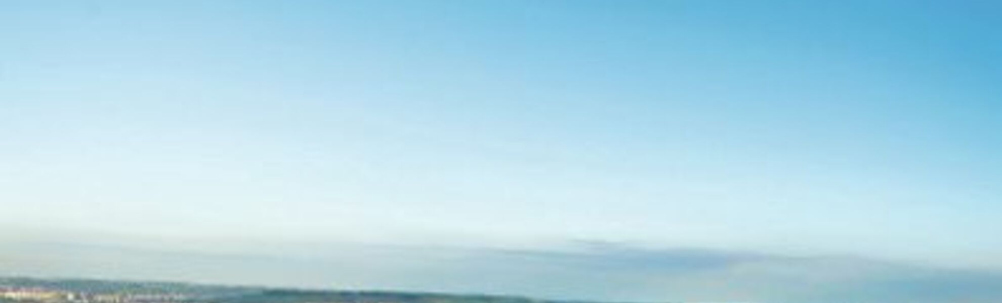 La viticulture sur les rives du Rhin - © CPN - Fotolia