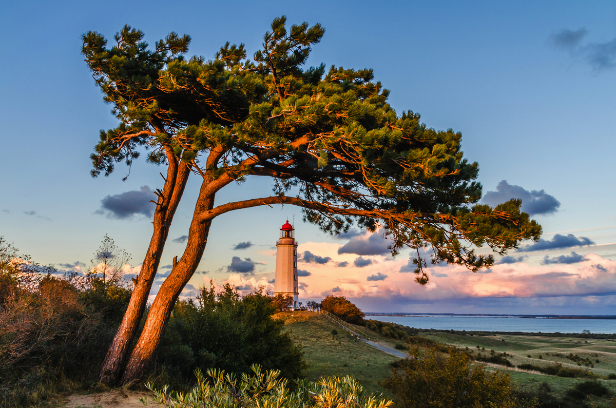Le phare Dornbusch sur l'île de Hiddensee  - © riebevonsehl - stock.adobe.com