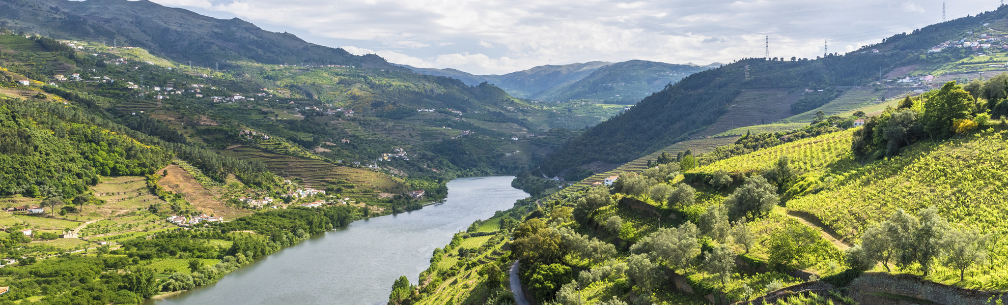 Vallée du Douro - © Simon Dannhauer - stock.adobe.com