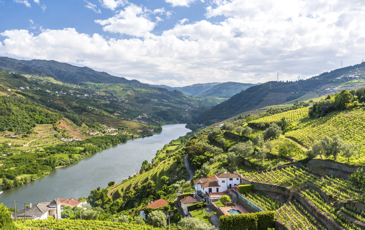 Vallée du Douro - © Simon Dannhauer - stock.adobe.com
