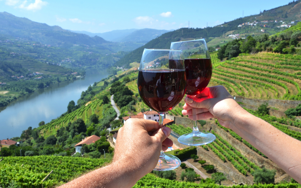 Vignobles dans la vallée du Douro, Portugal - ©aproposx - stock.adobe.com