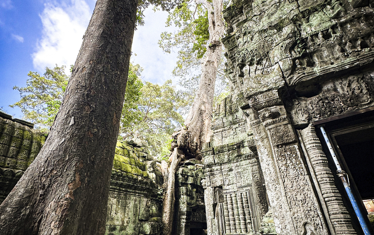 Faszinierendes Delta und Mekong ab Saigon Mekong Discovery