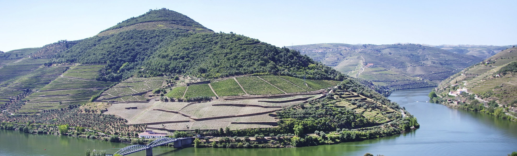 Pinhão - © shutterstock_212330440