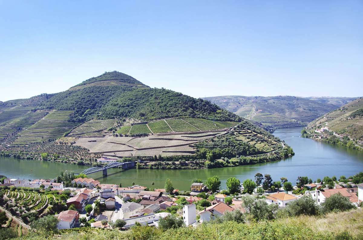 Pinhão - © shutterstock_212330440