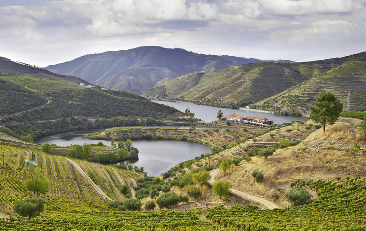 De la côte de Porto à la belle vallée du Douro