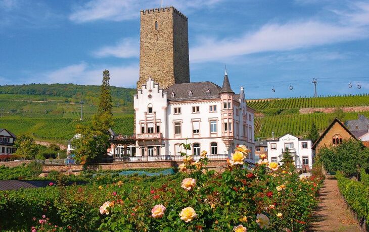 Charme du Rhin et de la Moselle