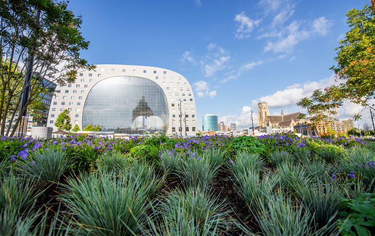 © rh2010 - stock.adobe.com - Blick auf den zentralen Platz und die Markthalle am Vormittag in der Stadt Rotterdam